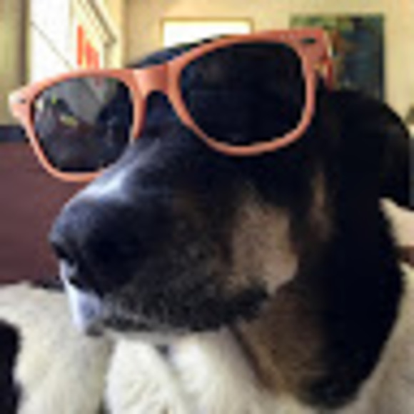 Meet your Posher, Eilish - Picture 1 of 1